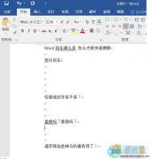 Word文档中的回车符号怎么去掉
