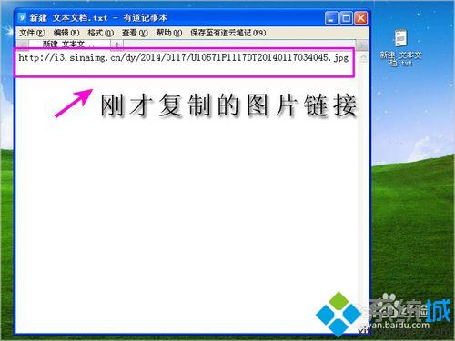 网页图片链接(6)