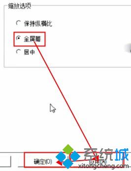显示屏幕尺寸(4)