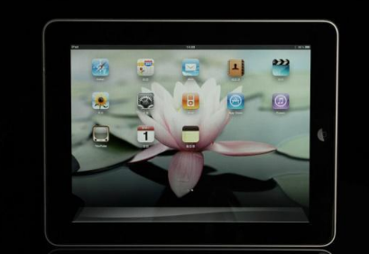 ipad充不进电怎么办(3)