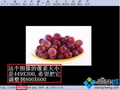 acdsee怎么改图片大小,教你acdsee怎么改图片大小