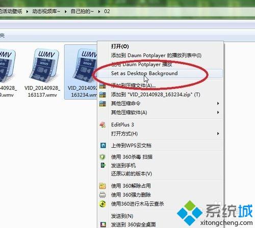 动态视频壁纸字体模糊(21)
