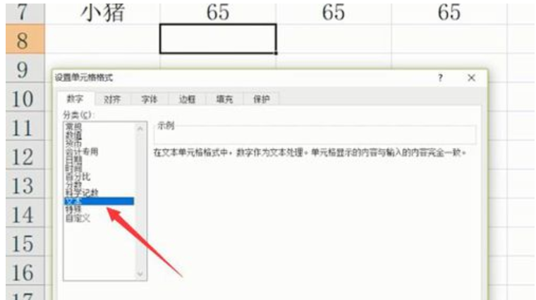 excel表格的基本操作技巧(6)
