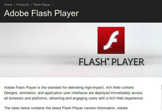 flash不可用怎么解决