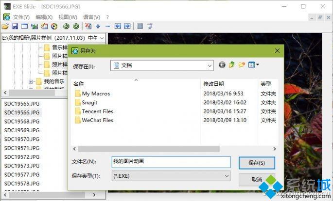 创建多媒体相册(3)