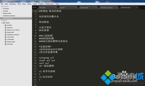 markdown文件打开(4)