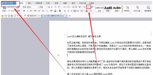 word文档空白页(6)