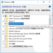 浅析win10启用和关闭windows功能中找不到ie11组件怎么办