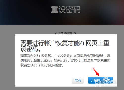 icloud密码忘记了怎么办(4)