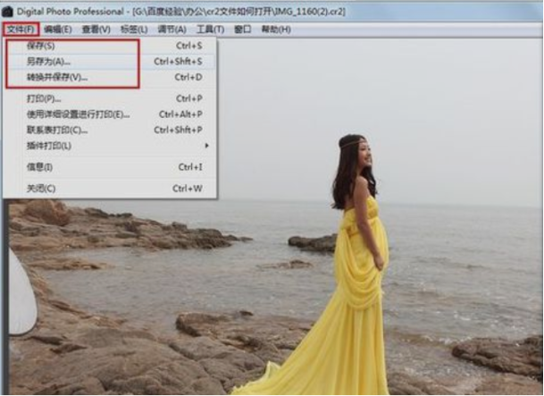 cr2文件用什么打开(10)