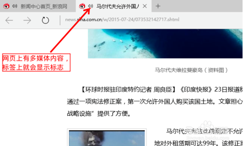 Edge禁用flash player(1)