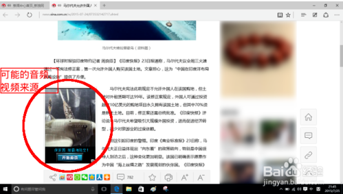Edge禁用flash player