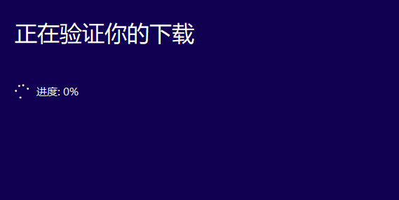 安装windows10系统(15)