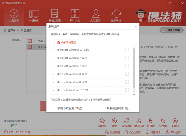 魔法猪系统重装大师u盘重装系统教程(4)