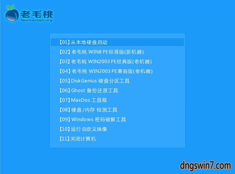 老毛桃一键重装系统下载汉化版(8)