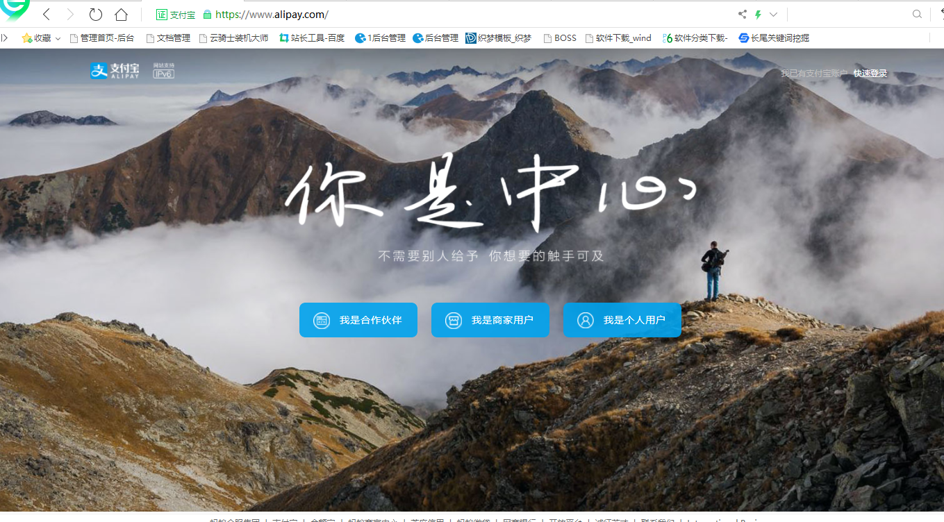 支付宝(1)