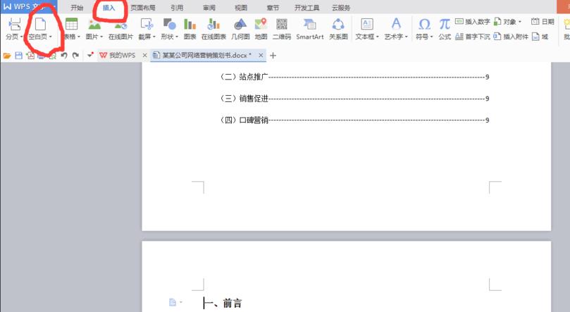 WPS office(3)