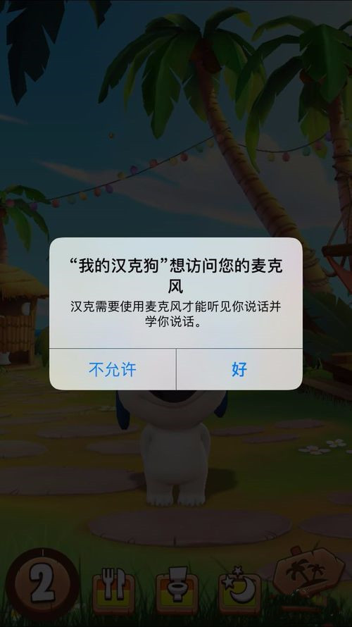 我的汉克狗(2)