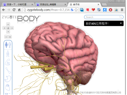 谷歌人体浏览器怎么控制人体解剖结构显示(1)