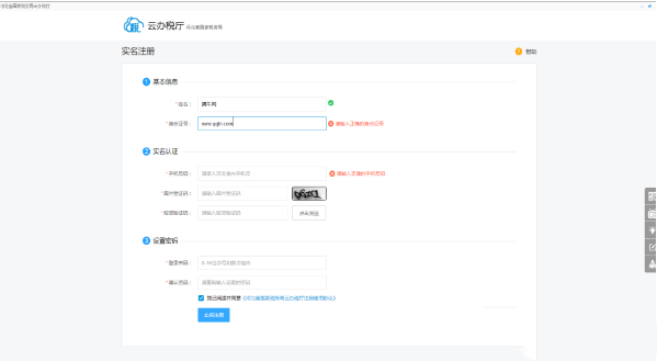 河北国税云厅怎么注册(1)