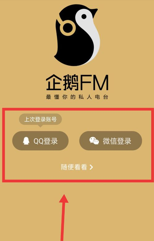 企鹅FM怎样设置皮肤(3)