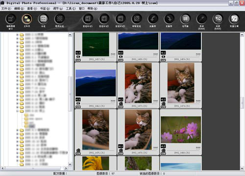 PanDownloadigital Photo Professional中文免费版