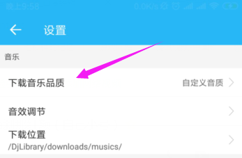 DJ音乐库怎么设置下载音乐的品质(3)