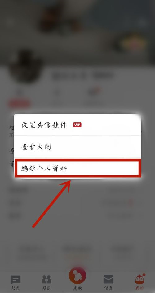 全民K歌如何设置K歌号(3)