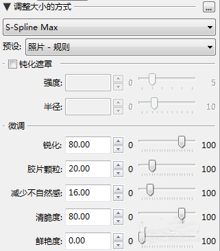 怎么使用PhotoZoom Pro放大照片(3)