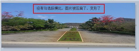 win7系统如何改变图片大小(5)