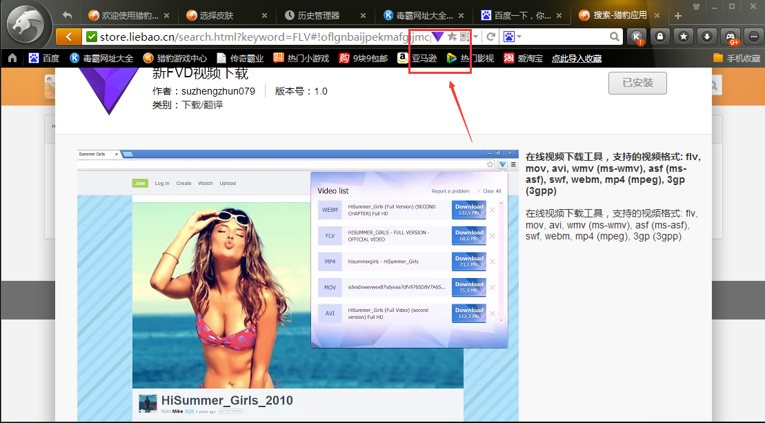 猎豹安全浏览器怎样下载网页上的FLV视频(4)
