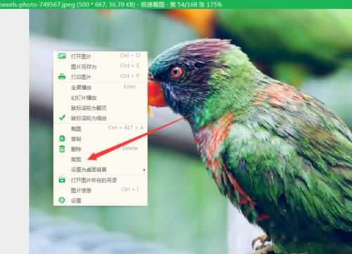 怎么使用极速看图的裁剪功能(3)