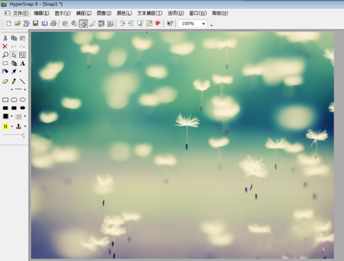 怎么用HyperSnap对图片进行修改