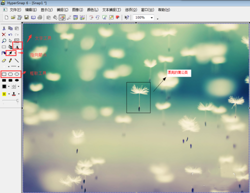 怎么用HyperSnap对图片进行修改(1)