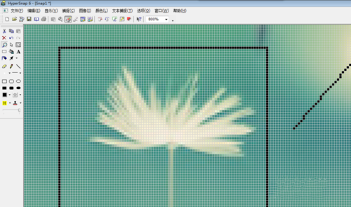 怎么用HyperSnap对图片进行修改(2)
