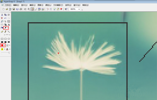 怎么用HyperSnap对图片进行修改(3)