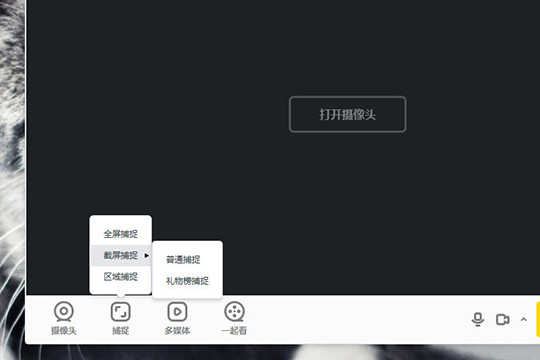 YY开播怎么捕捉窗口屏幕(1)