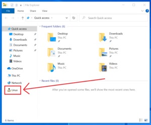 微软在其最新的Windows Insider更新中添加了新闻栏应用程序(3)
