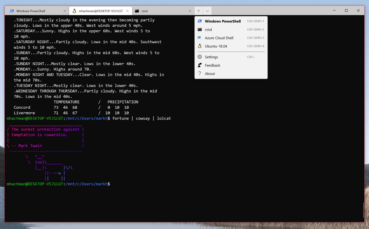 Windows 10通过对WSL2的图形支持更接近``真正的''Linux(1)