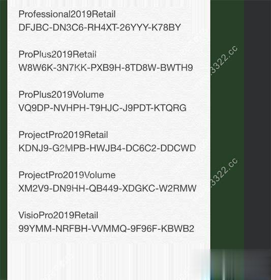 office 2019专业增强版64位激活序列号 office2019激活工具(1)
