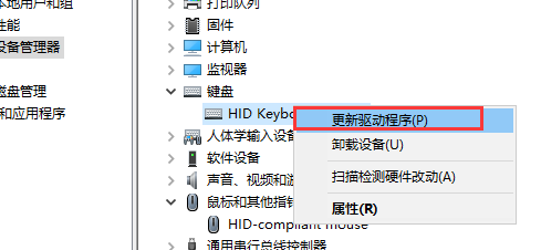 键盘失灵,小编教你怎么修复失灵的键盘(5)