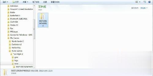 win7系统下火炬之光2存档文件在哪里(4)