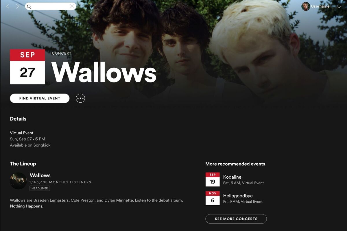 Spotify现在列出了您最喜欢的艺术家的虚拟音乐会(1)