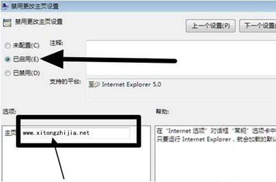 IE浏览器主页无法修改的两种解决办法(6)