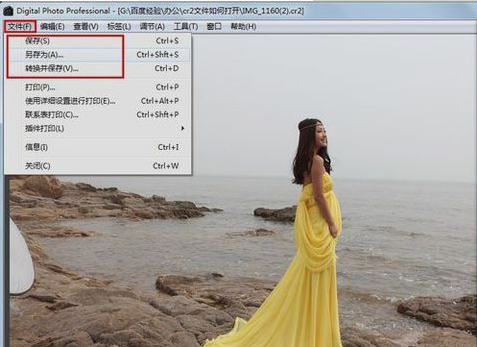 cr2怎么打开 教您cr2怎么打开(10)