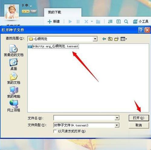 BT种子怎么用 使用BT种子的方法(2)