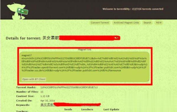 TorrentKitty打不开怎么办(4)