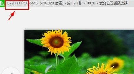 TIF格式如何打开 TIF格式打开的五种方法(8)