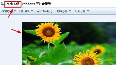 TIF格式如何打开 TIF格式打开的五种方法(3)