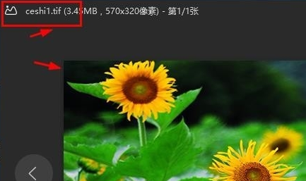 TIF格式如何打开 TIF格式打开的五种方法(9)